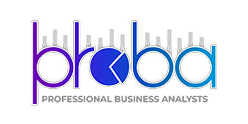 Professional Business Analysts logo