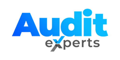 Audit Experts logo